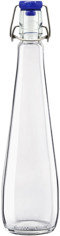 botella de agua de vidrio 750ml - Viola